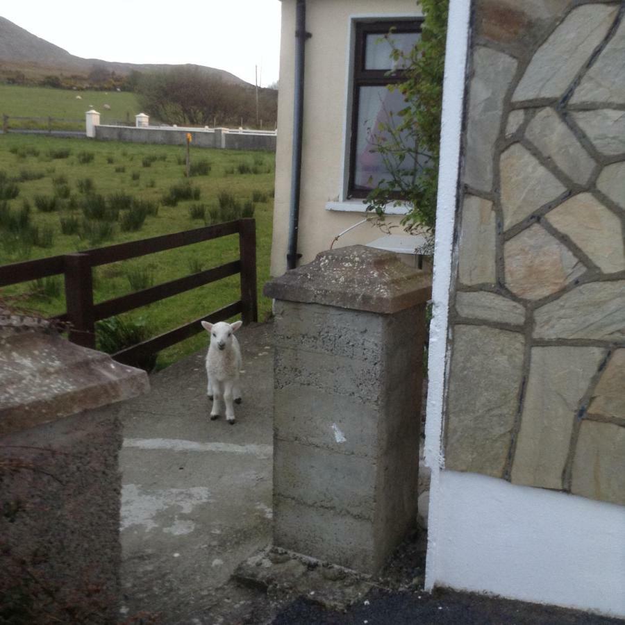 Sea View Chalet Kilsallagh Westport Co Mayo Exteriér fotografie